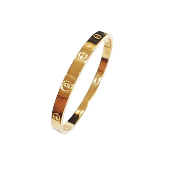 Chic Stainless Steel Slim Bangle